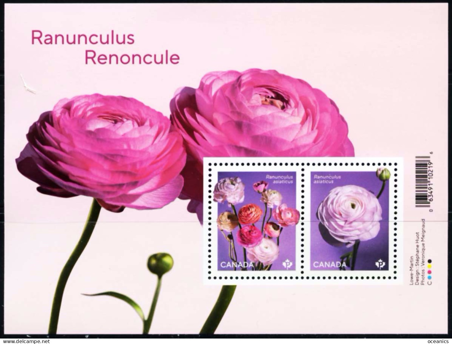 Canada (Scott No.3372 - Renoncule) [**] 2023 SS / Bloc Feuillet - Unused Stamps