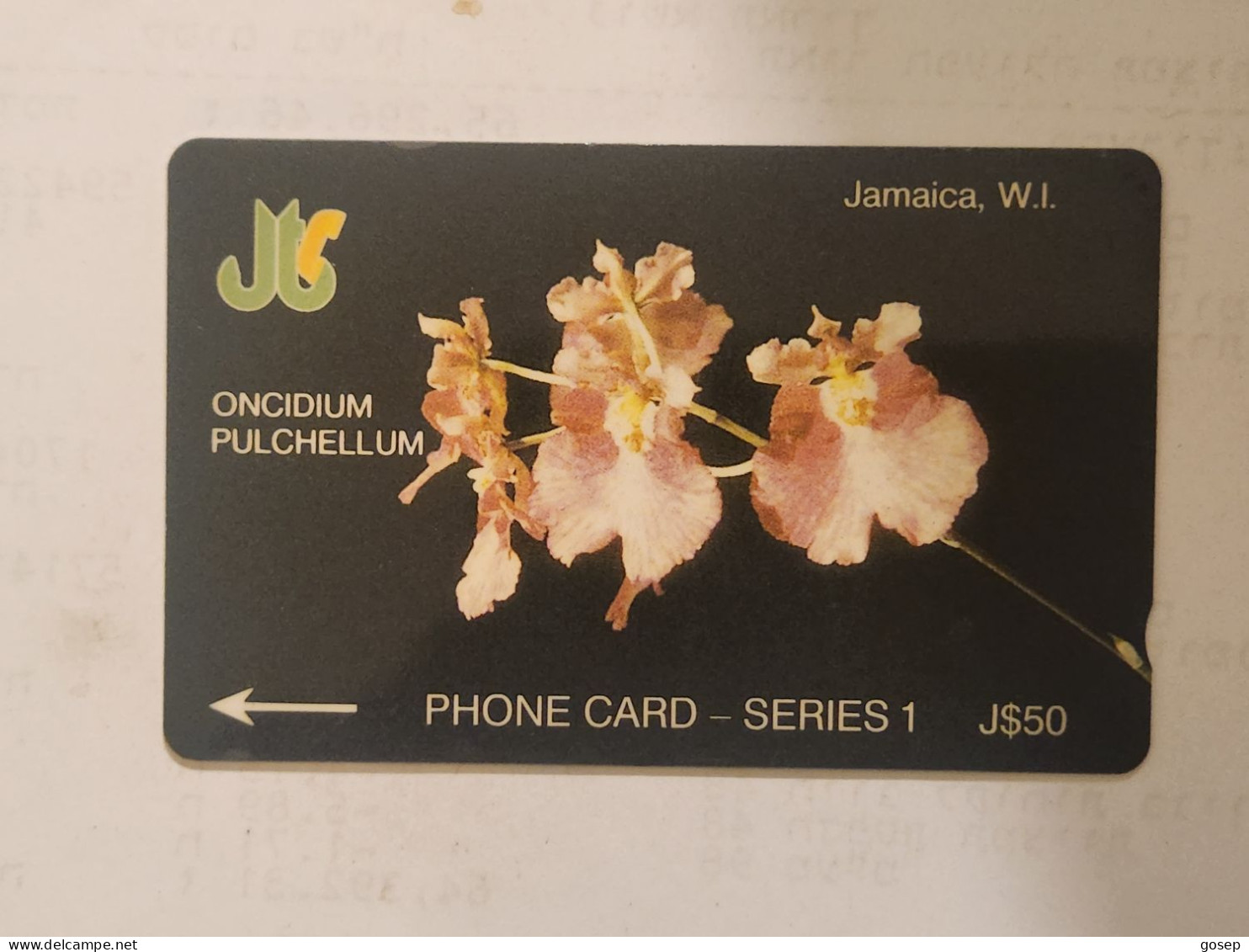 JAMAICA-(13JAMA--JAM-13A)-Oncidium Pulchellum-(59)-(13JAMA041417)-(J$50)-used Card+1card Prepiad - Giamaica