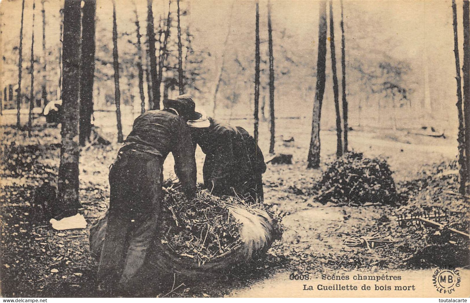 CPA 43 SCENES CHAMPETRES LA CUEILLETTE DE BOIS MORT - Otros & Sin Clasificación