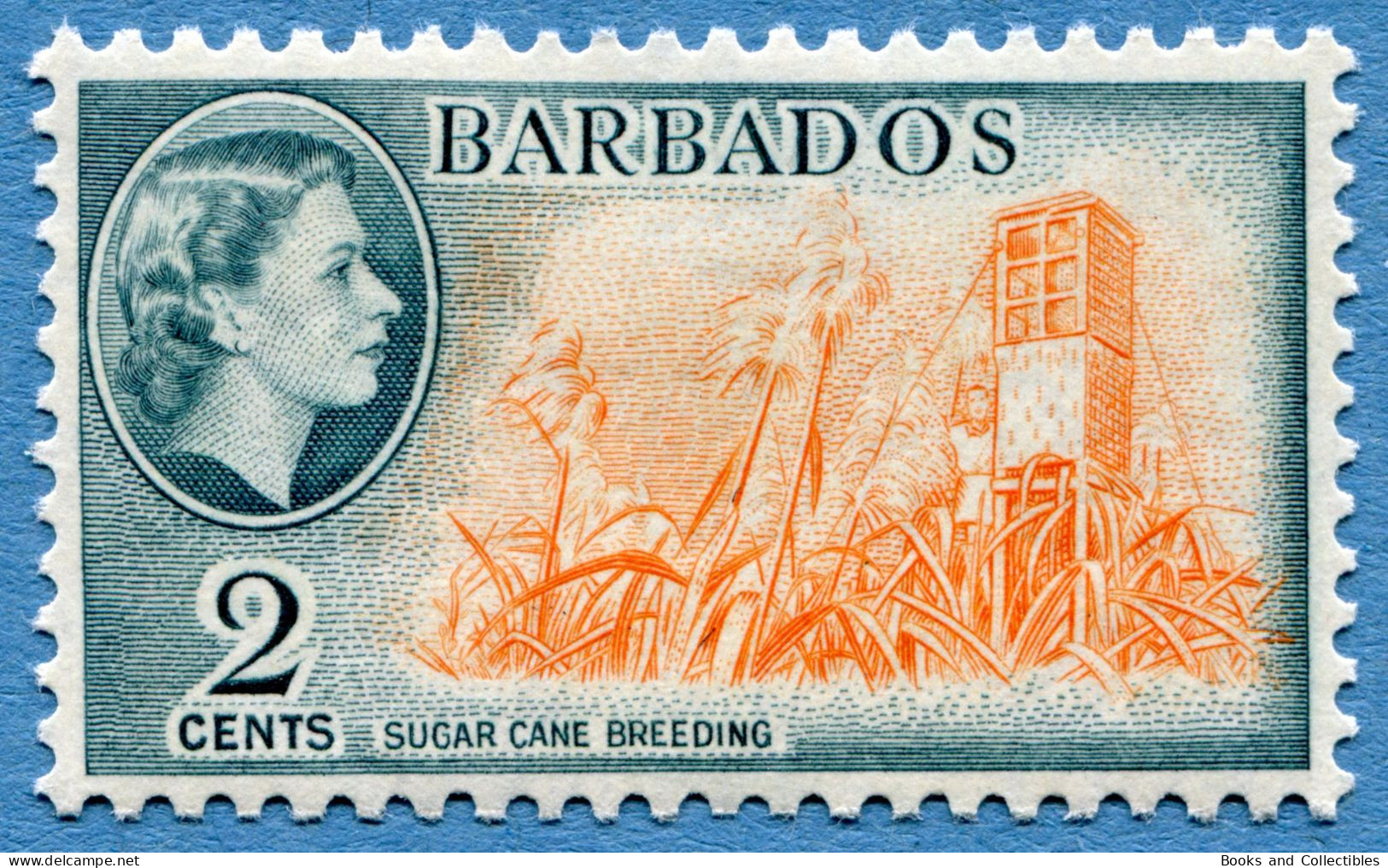 BARBADOS - 2 Cents 1953-1957 - Michel #204 * Rif. A-07 - Barbados (...-1966)