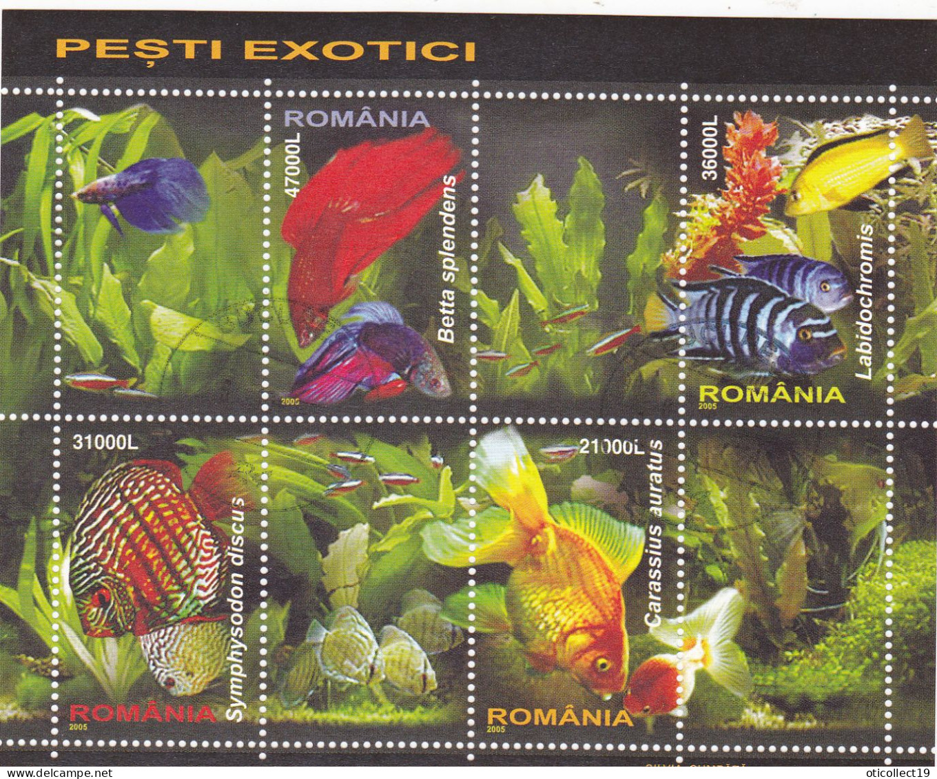 Romania 2005 Exotic Fish 4v M/s, Used, Nature - Fish - Gebraucht