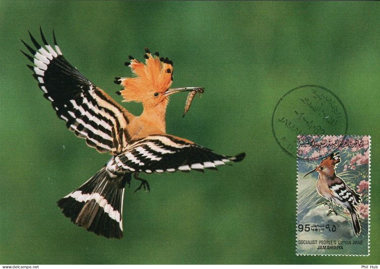 LIBYA 1982 Birds Bird "Eurasian Hoopoe" (maximum-card) #16 - Pics & Grimpeurs