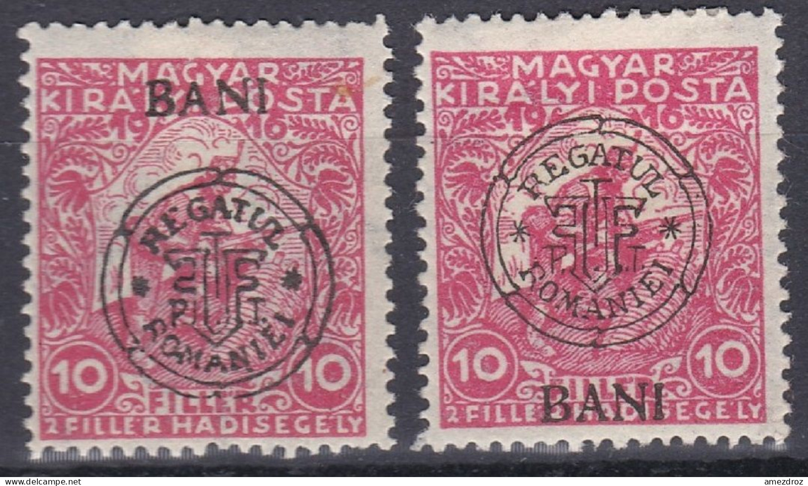 Transylvanie Cluj Kolozsvar 1919 N° 11-11a * Timbres De Bienfaisance BANI En Haut (K14) - Transylvania
