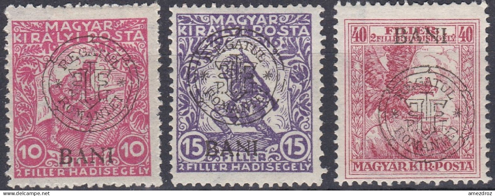 Transylvanie Cluj Kolozsvar 1919 N° 11-13 * Timbres De Bienfaisance (K14) - Transilvania