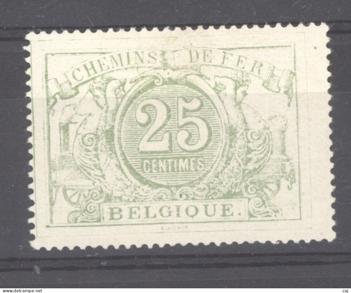 Belgique  -  Colis Postaux  :  Yv  10  * - Mint