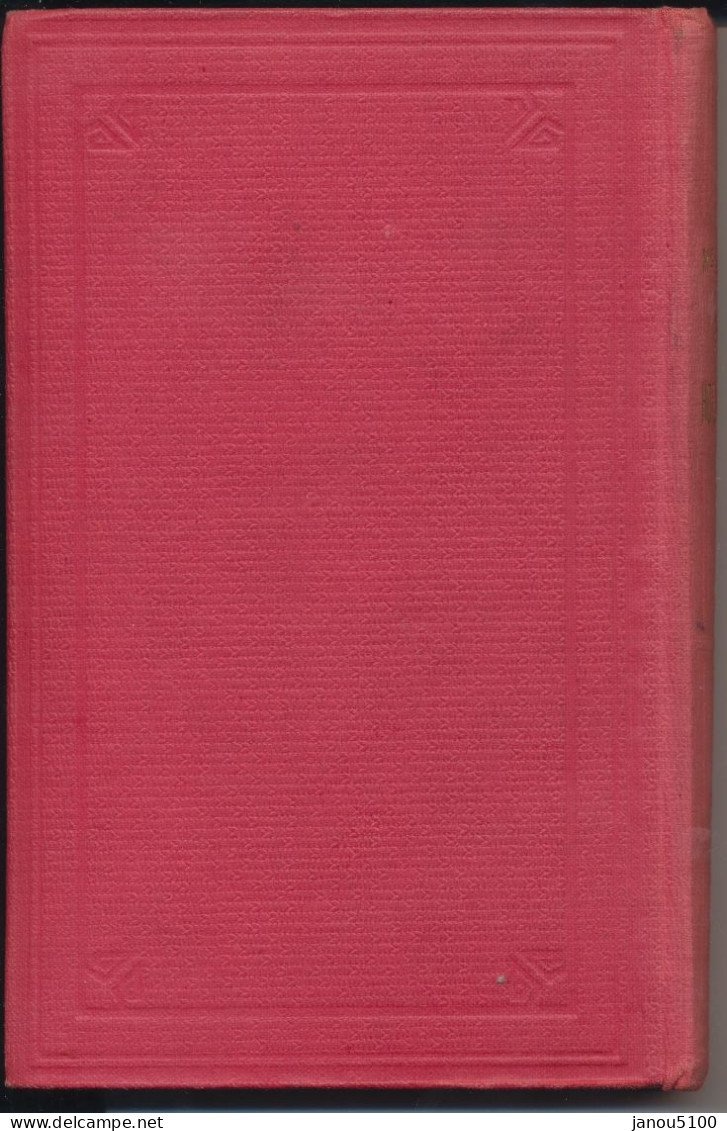 LIVRE   JUNI0R BIBLIOTHEQUE ROSE ILLUSTREE  " NOEMIE  HOLLEMECHETTE "    MAGDELEINE  Du GENESTOUX    1931. - Hachette