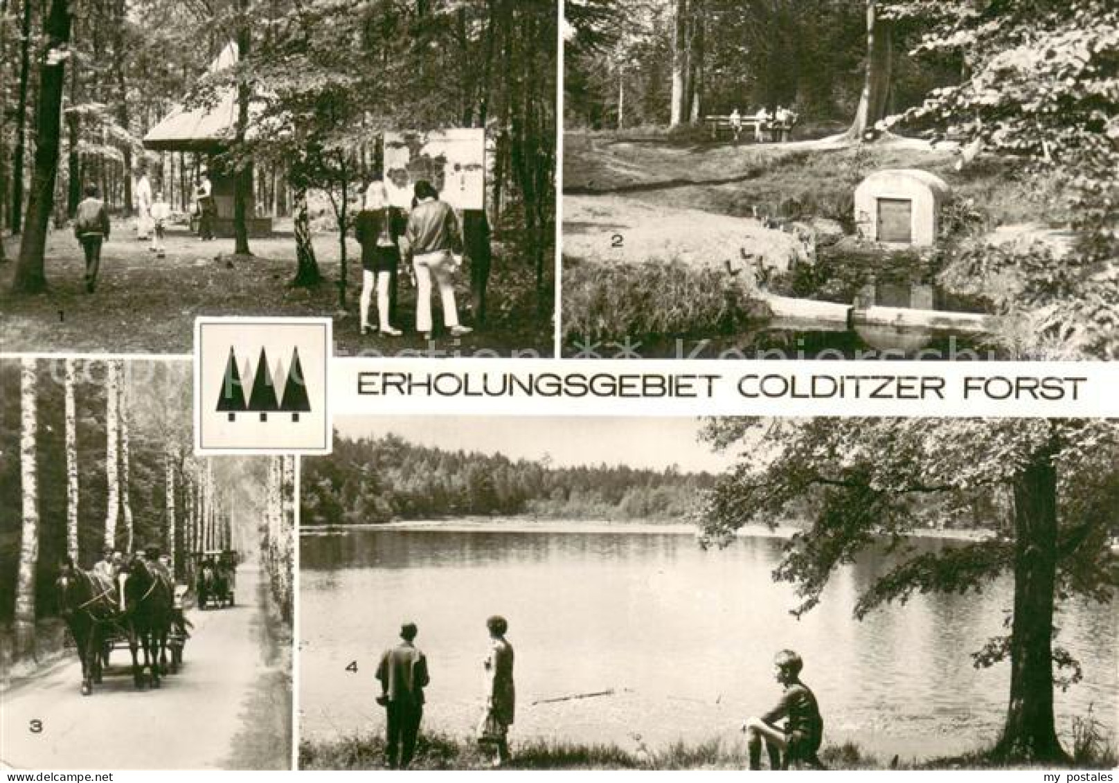 73766286 Colditz Erholungsgebiet Colditzer Forst Parkplatz-Pilz Birkenallee Part - Colditz