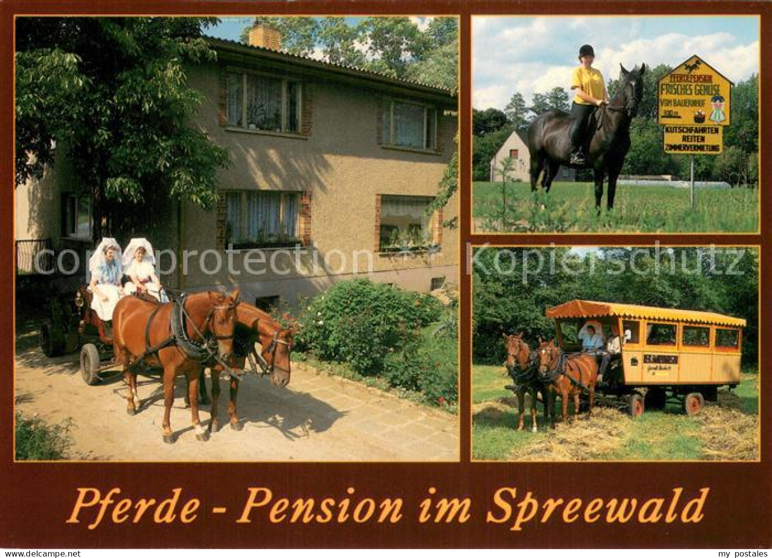 73713351 Mueschen Niederlausitz Pferdepension Fahr- Und Reittouristik Urlaub Auf - Burg (Spreewald)