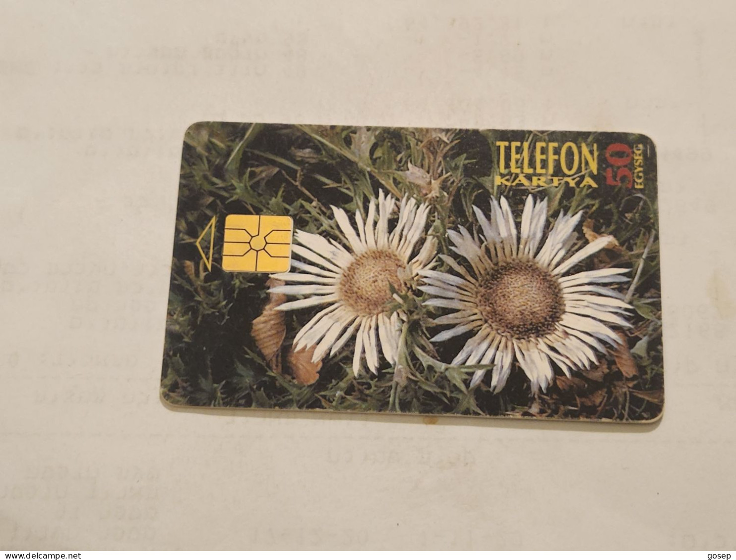 HUNGARY-(HU-P-1995-28C)-Carlina Acaulis-(182)(50units)(GEM0190018C)(tirage-500.000)USED CARD+1card Prepiad Free - Ungarn