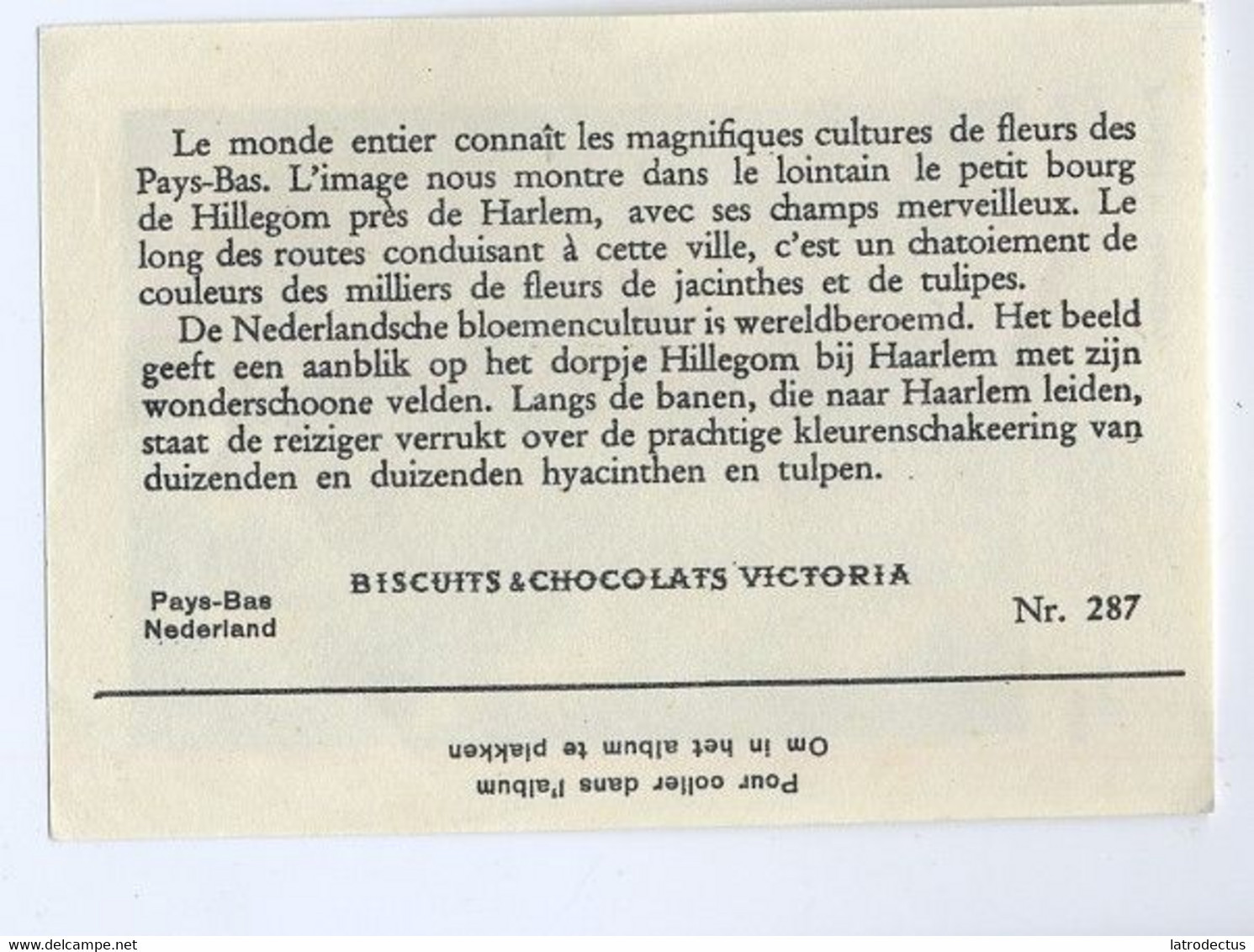 Victoria (1937) - 287 - Nederland, Hillegom, Bloemenvelden - Victoria