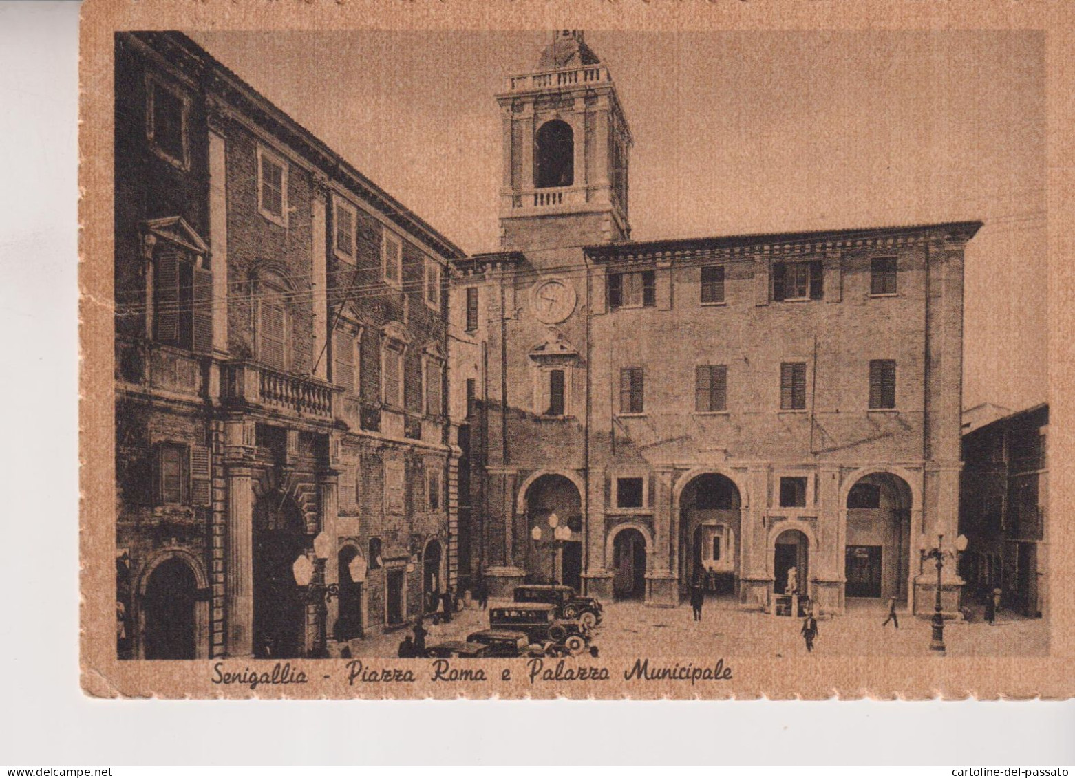 SENIGALLIA  ANCONA  PIAZZA ROMA E PALAZZO MUNICIPALE  VG  1950 - Senigallia