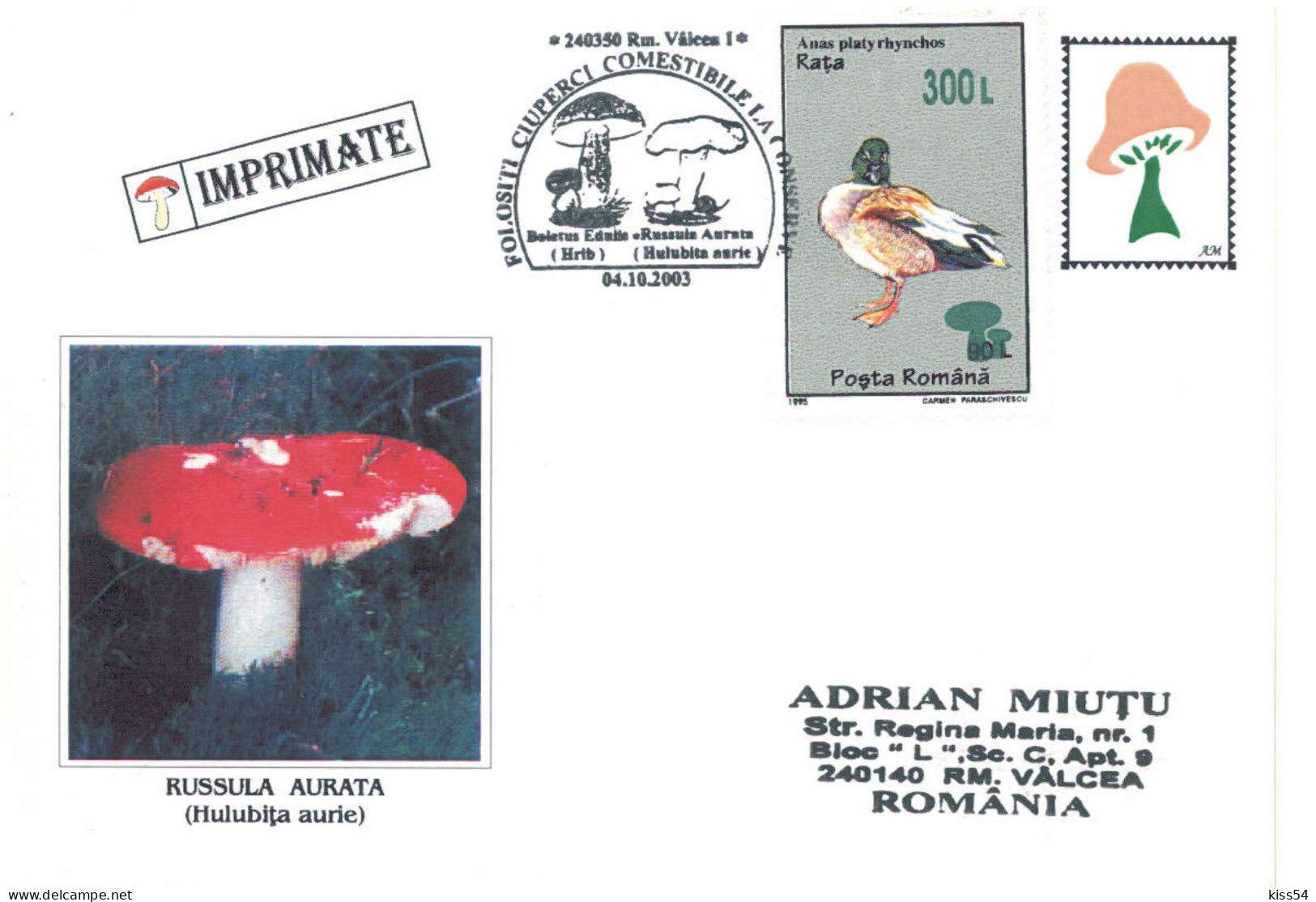 COV 63 - 622 MUSHROOM, Romania - Cover - Used - 2003 - Groenten