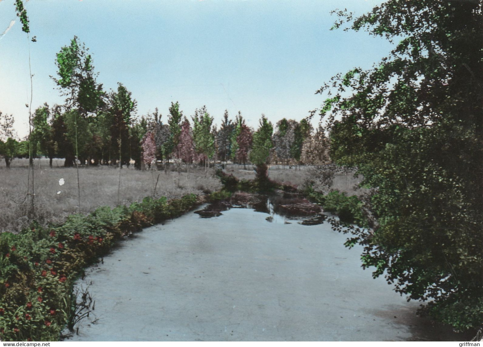 CHAMPTOCEAUX VUE PANORAMIQUE SUR LA LOIRE ET LES ILES CPSM 10X15 TBE - Champtoceaux