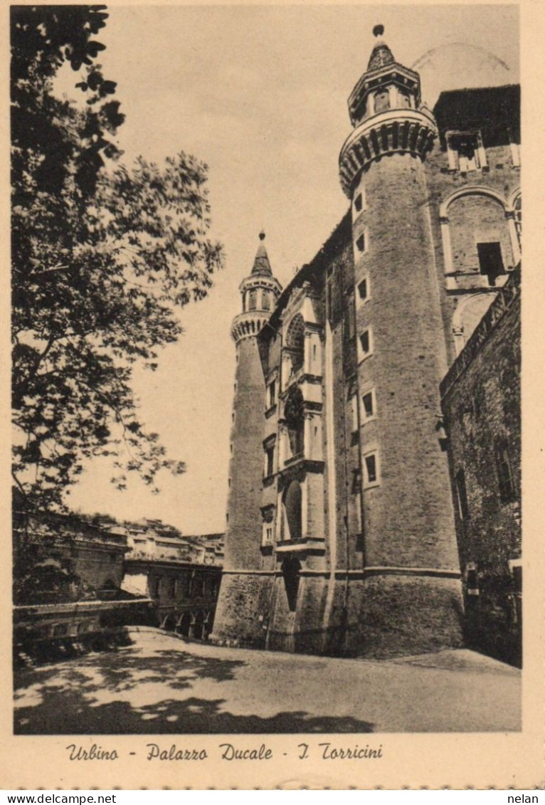 URBINO - PALAZZO DUCALE - I TORRICINI - F.G. - Urbino