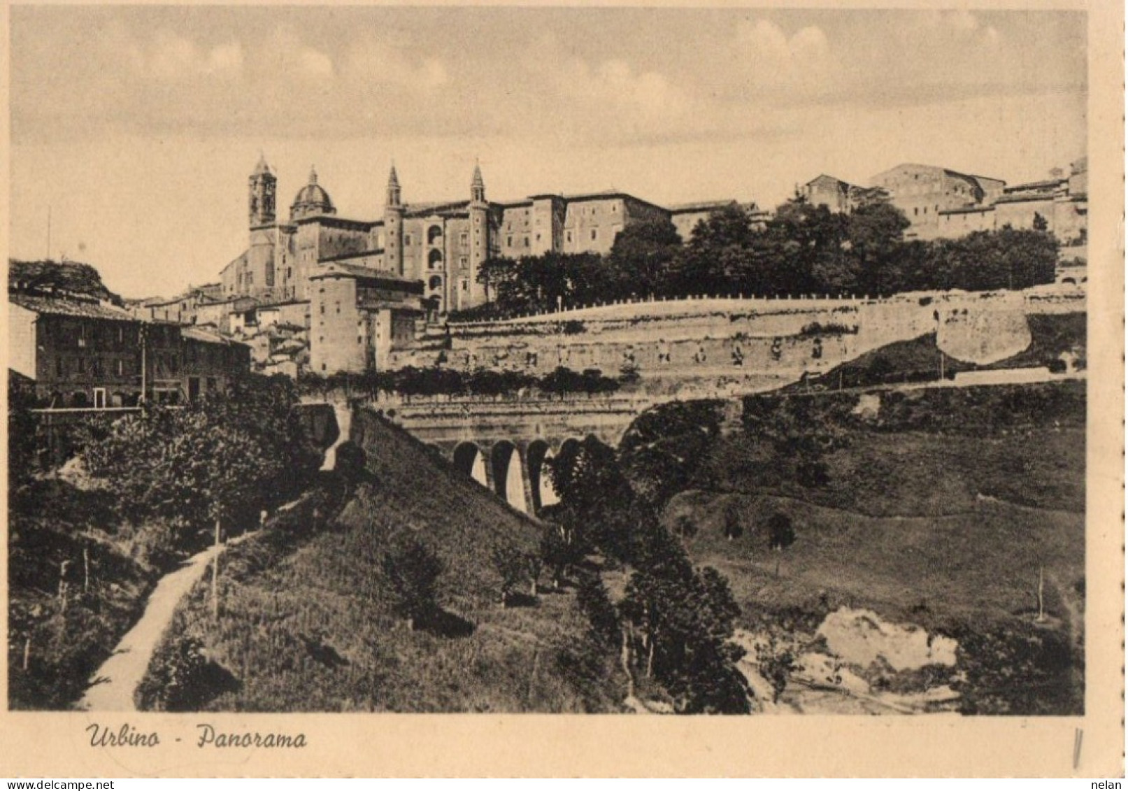 URBINO - PANORAMA - F.G. - Urbino