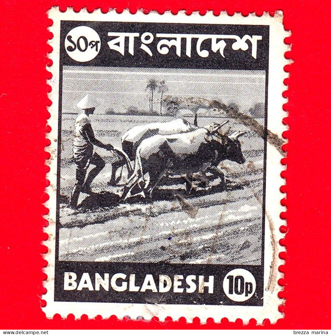 BANGLADESH - Usato - 1973 - Agricoltura - Aratura - Mucche - Farmer Plowing - 10 - Bangladesch