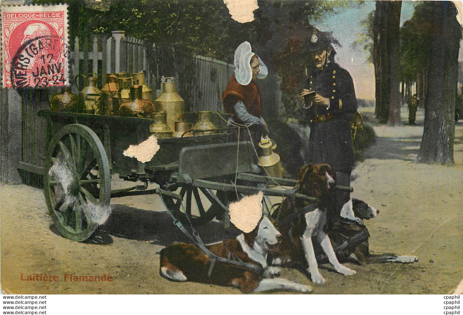 CPA Laitiere Flamande Voiture A Chiens - Beroepen