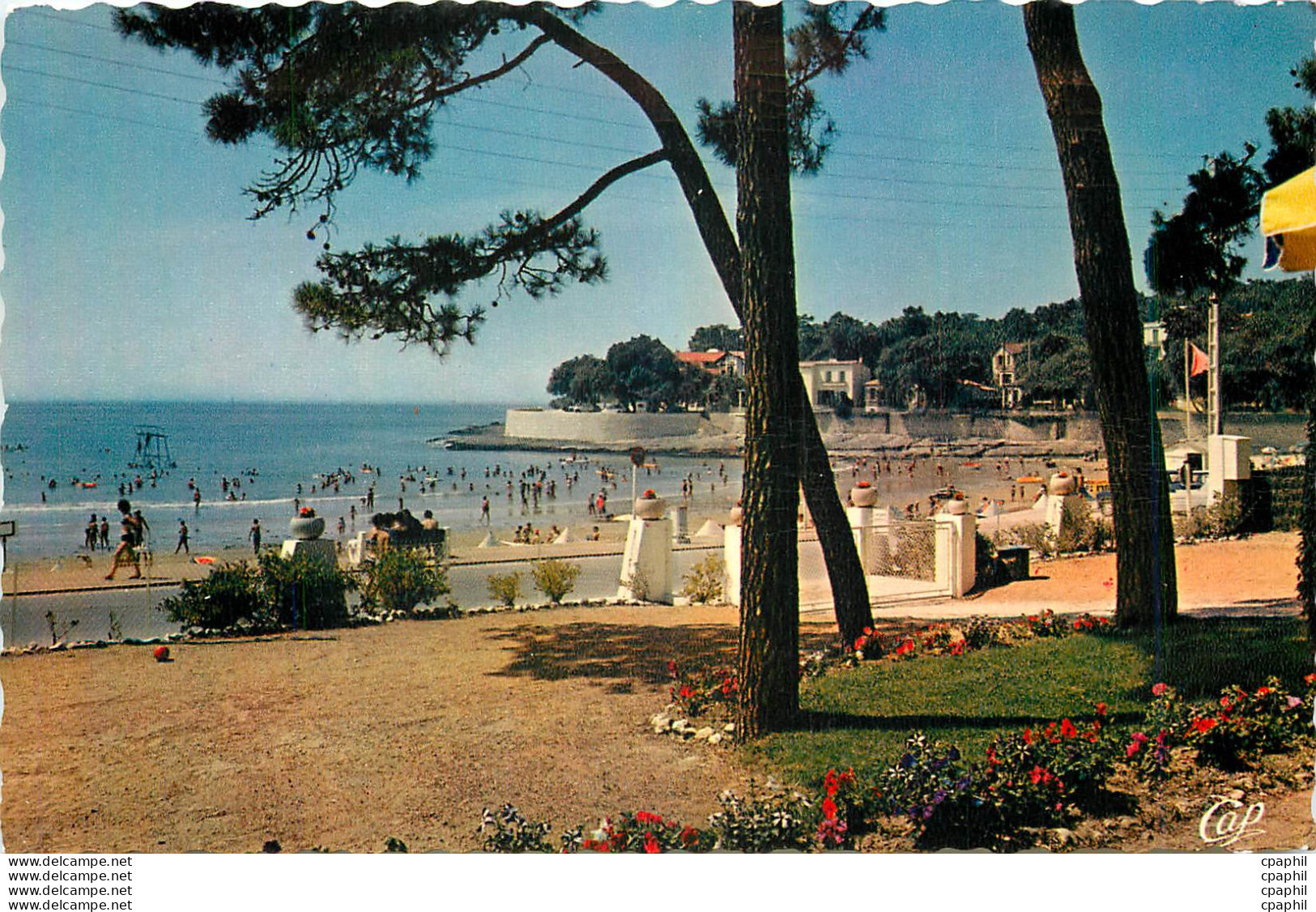 CPM Vaux Nauzan La Plage A Travers Les Pins - Vaux-sur-Mer