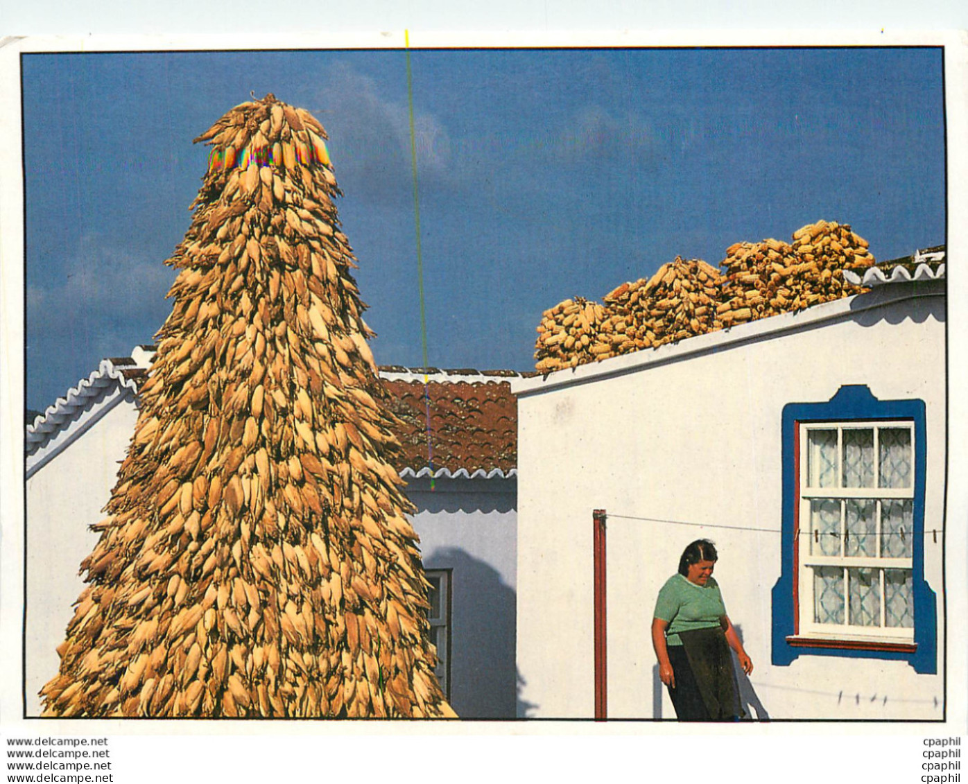 CPM Acores Portugal Terceira Cas Tradicional E Burra De Milho - Açores