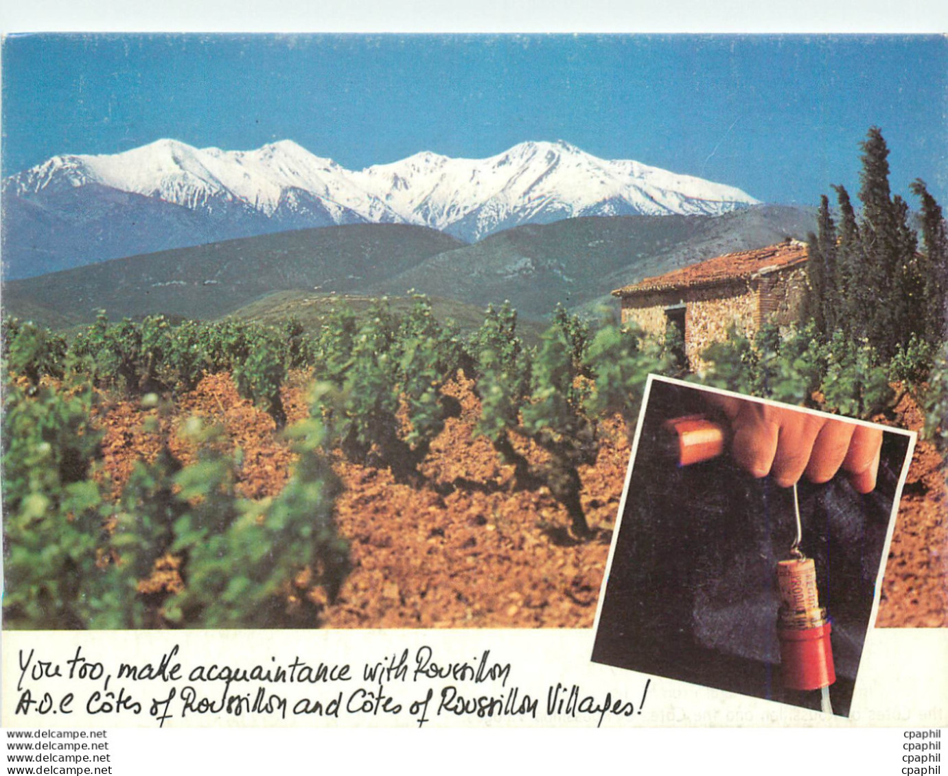 CPM Mount Canigou Roussillon France - Languedoc-Roussillon