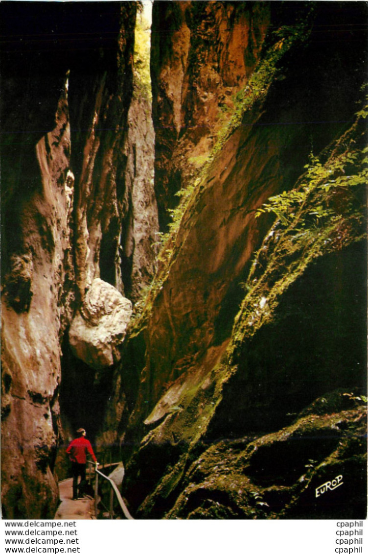 CPM Roussillon Le Vallespir Les Gorges De La Fou - Roussillon