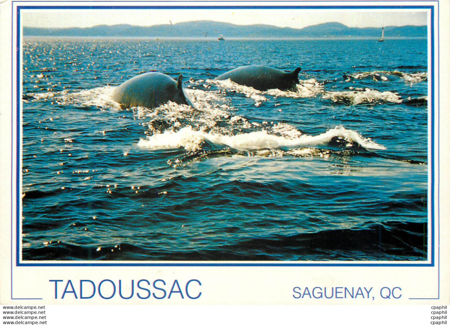 CPM Tadoussac Saguenay QC - Saguenay