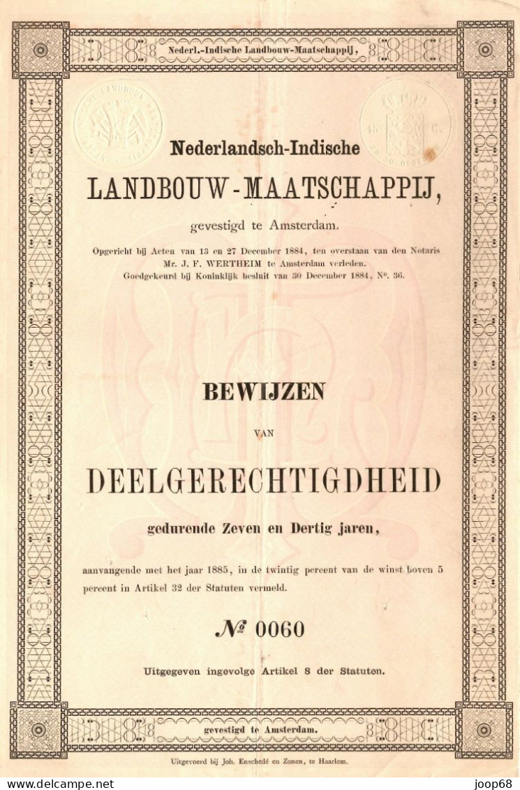 Nederlandsch-Indische Landbouw - Maatschappij - Bewijzen Van Deelgerechtigdheid - Amsterdam, 30 December 1884 Indonesia - Agriculture