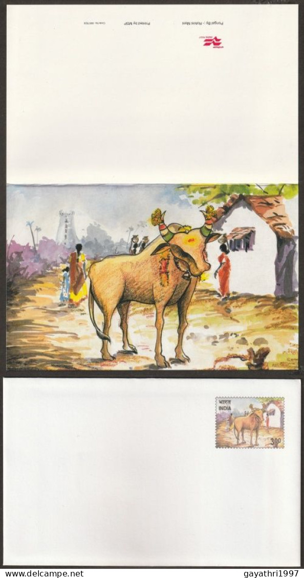 India Greetings Card With Cover Issued By Indian Government (gr18) Happy Pongal Greetings - Koeien