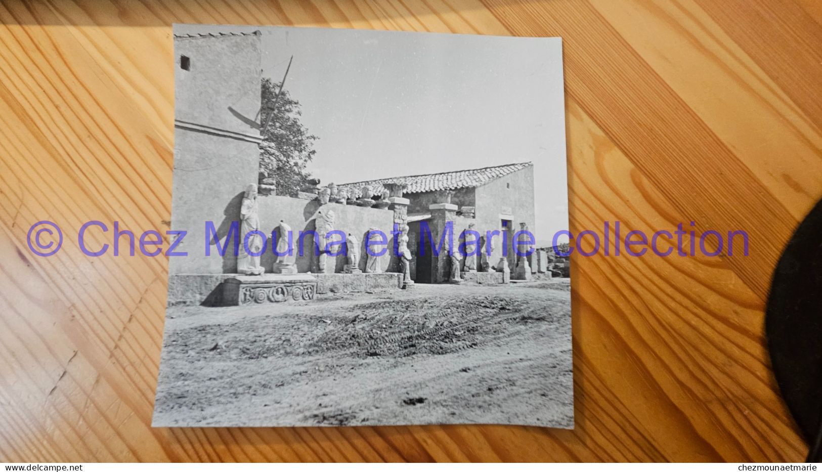 ALGERIE TIMGAD LE MUSEE STATUES RELIEF SARCOPHAGE BUSTES RUINES ROMAINES  PHOTO AFRIQUE - Afrika