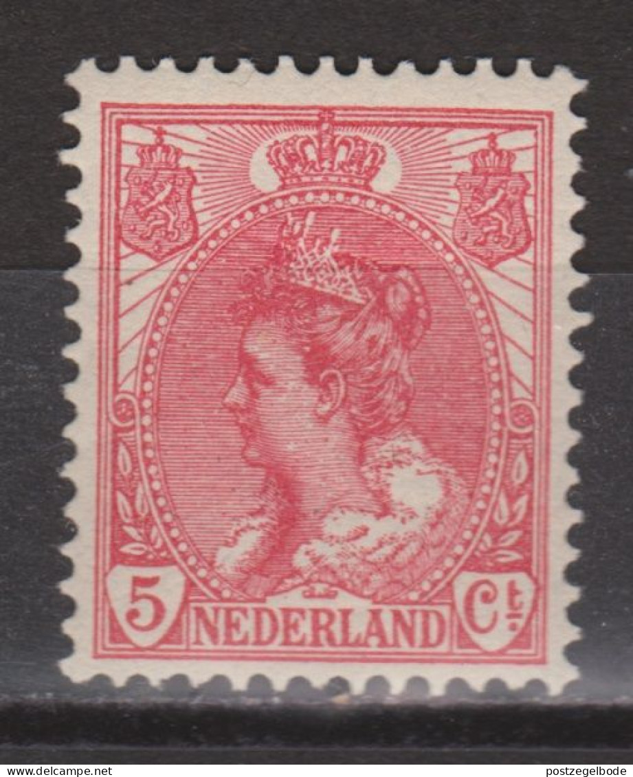 NVPH Nederland Netherlands Holanda, Pays Bas 60 MLH/ongebruikt ; Wilhelmina 1899 - Ongebruikt