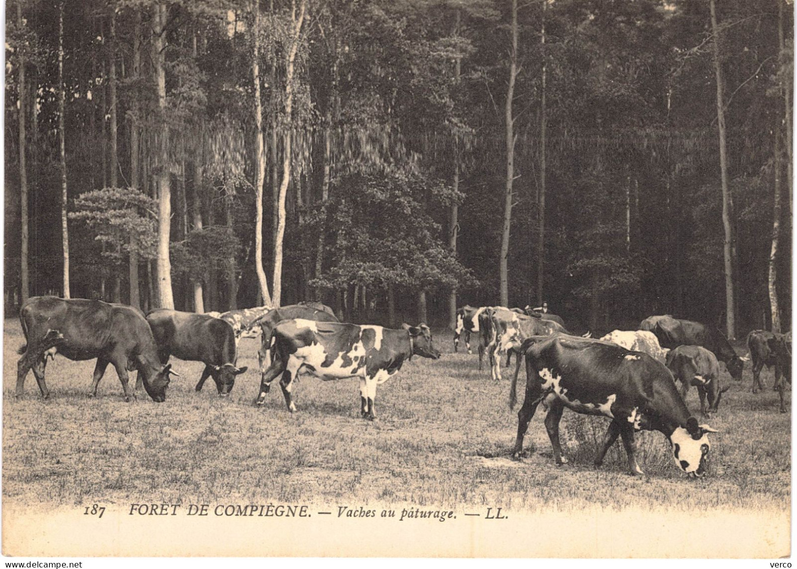 Carte POSTALE  Ancienne De  FORET De  COMPIEGNE - Paturage - Rethondes