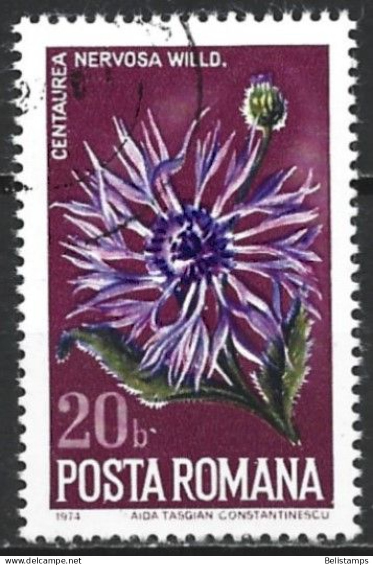 Romania 1974. Scott #2513 (U) Nature Protection, Thistle - Oblitérés