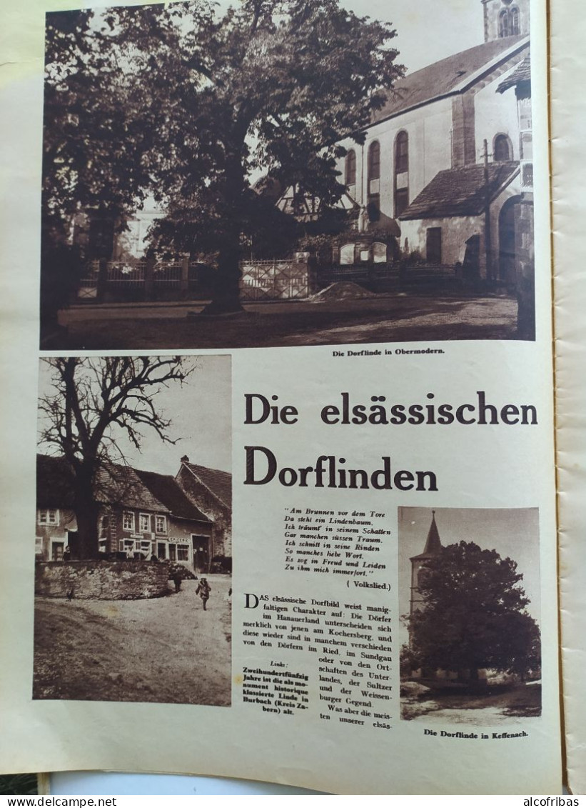 Neueste Illustrierte Dernieres Nouvelles Illustrées  Juin 1932 Mulhouse Tilleul Alsace Louis Le Prince - Altri & Non Classificati