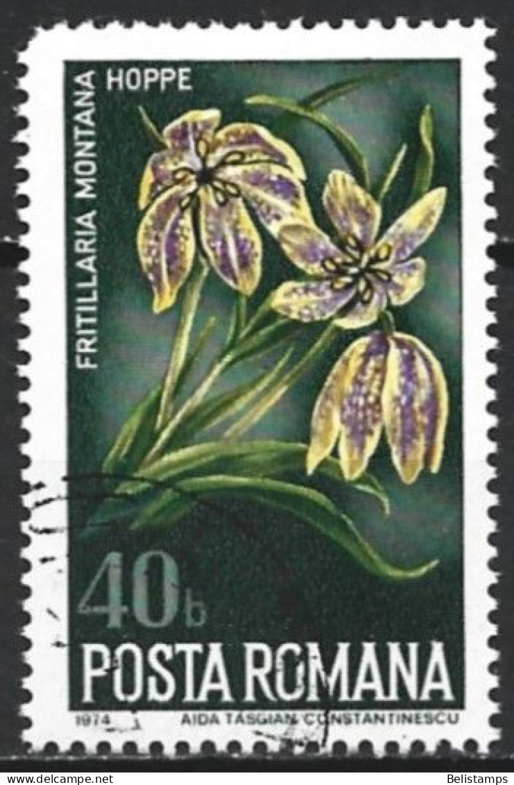 Romania 1974. Scott #2514 (U) Nature Protection, Checkered Lily - Gebraucht