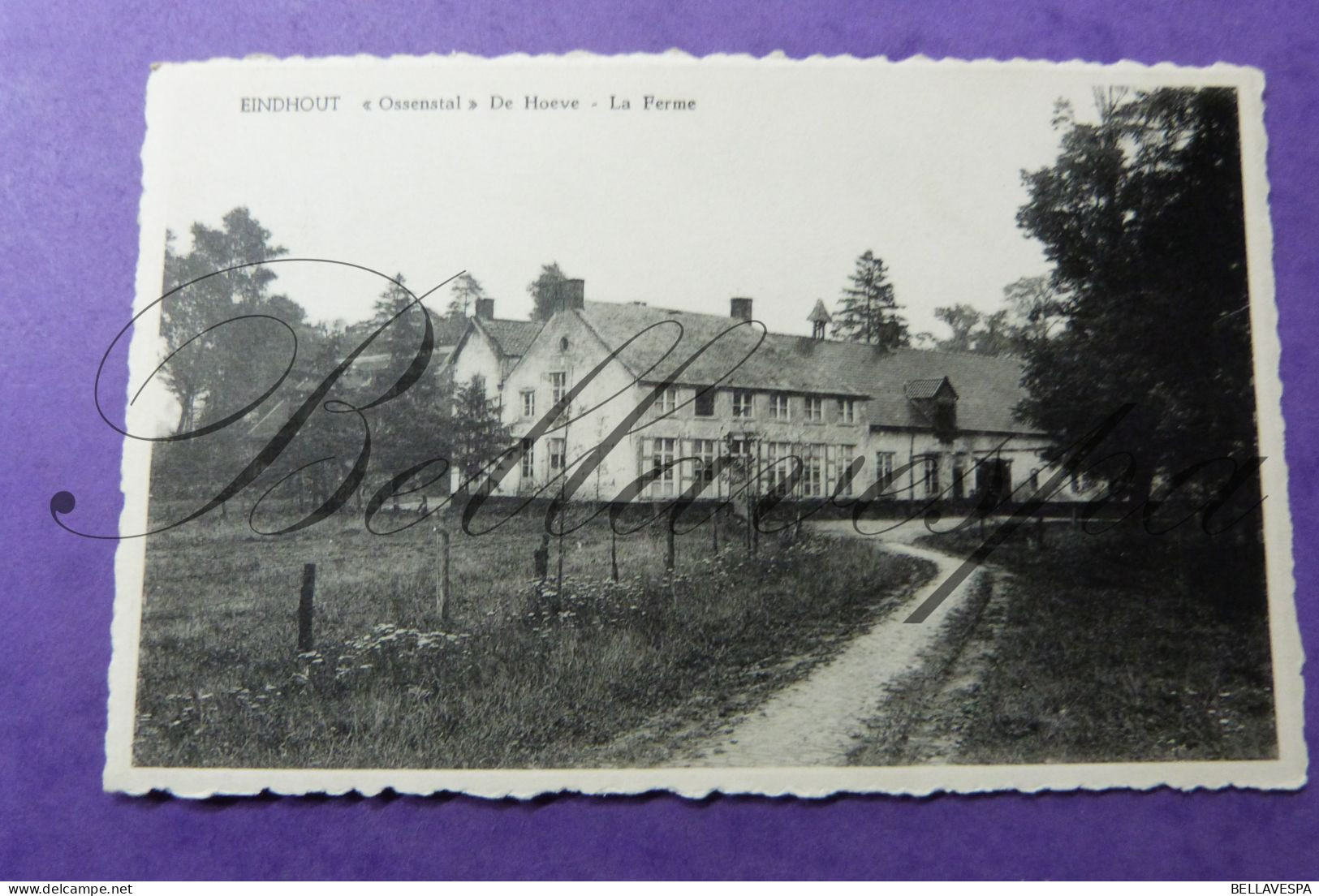 Eindhout Laakdal Hoeve Ossenstal Herenhoeve - Laakdal