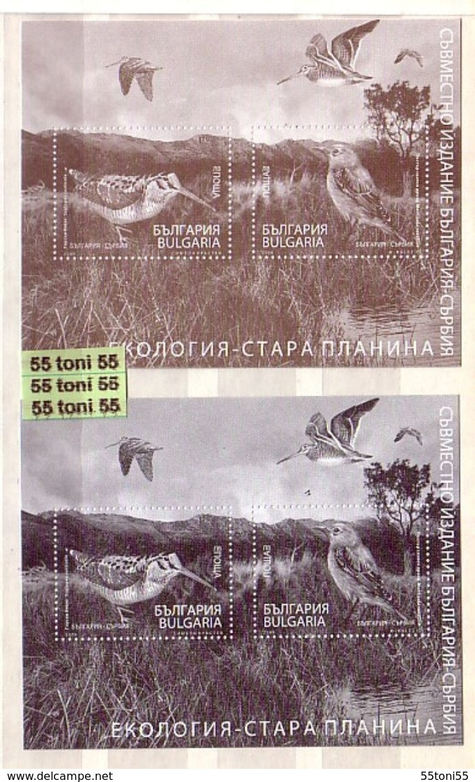 2009  Compl.- MNH  39v.+ 10 BF (perf.) +Bonus Bulgaria/Bulgarie - Annate Complete