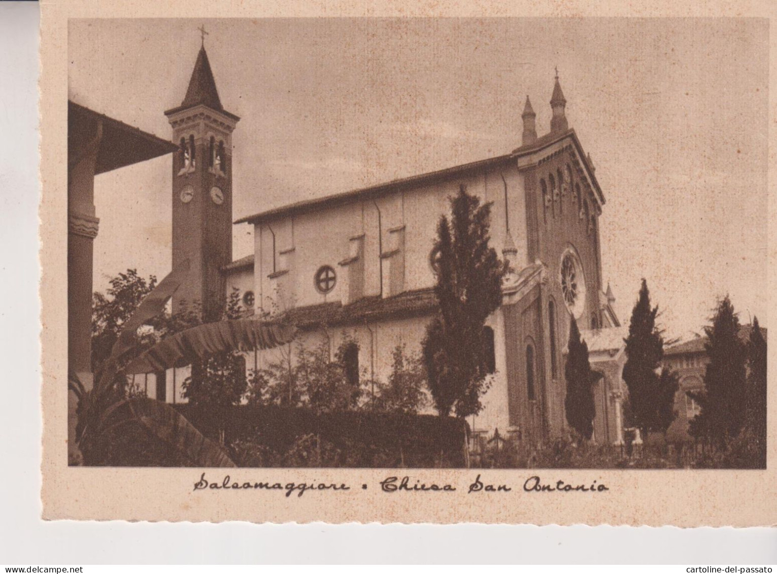 SALSOMAGGIORE  PARMA CHIESA  SAN ANTONIO  VG 1951 - Fano