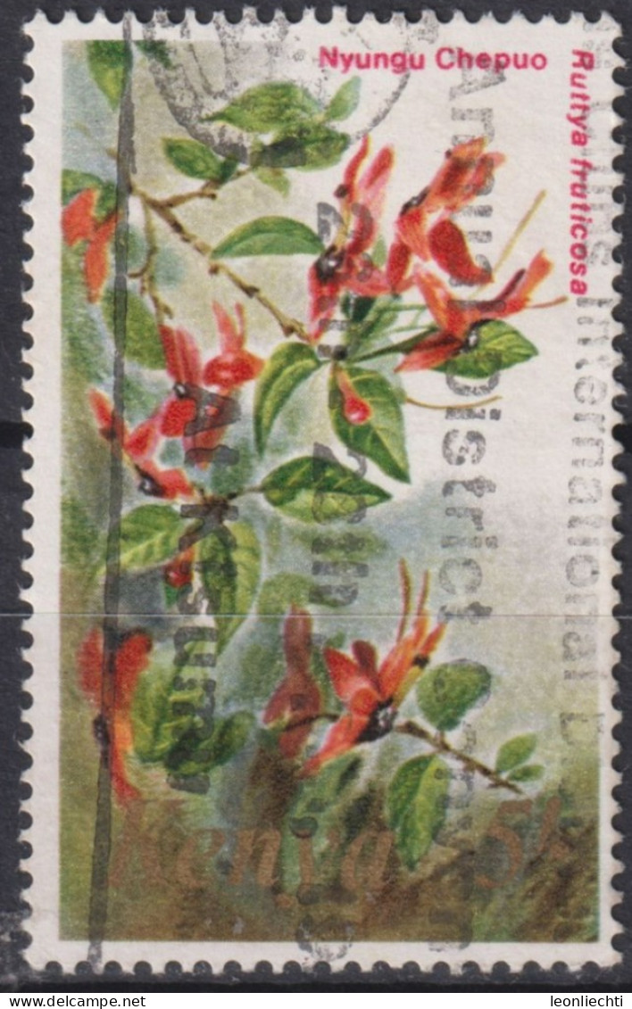 1983 Kenia ° Mi:KE 251, Sn:KE 258, Yt:KE 252, Ruttya Fruticosa, Flowers - 1983 - Kenya (1963-...)