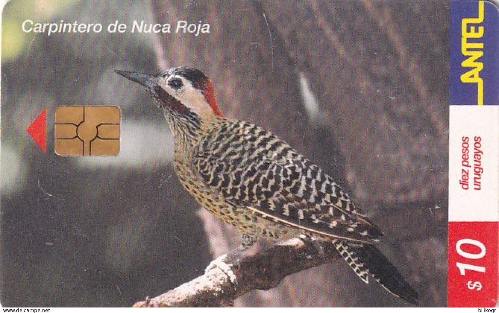 URUGUAY - Bird, Carpintero De Nuca Roja(202a), 10/01, Used - Other & Unclassified