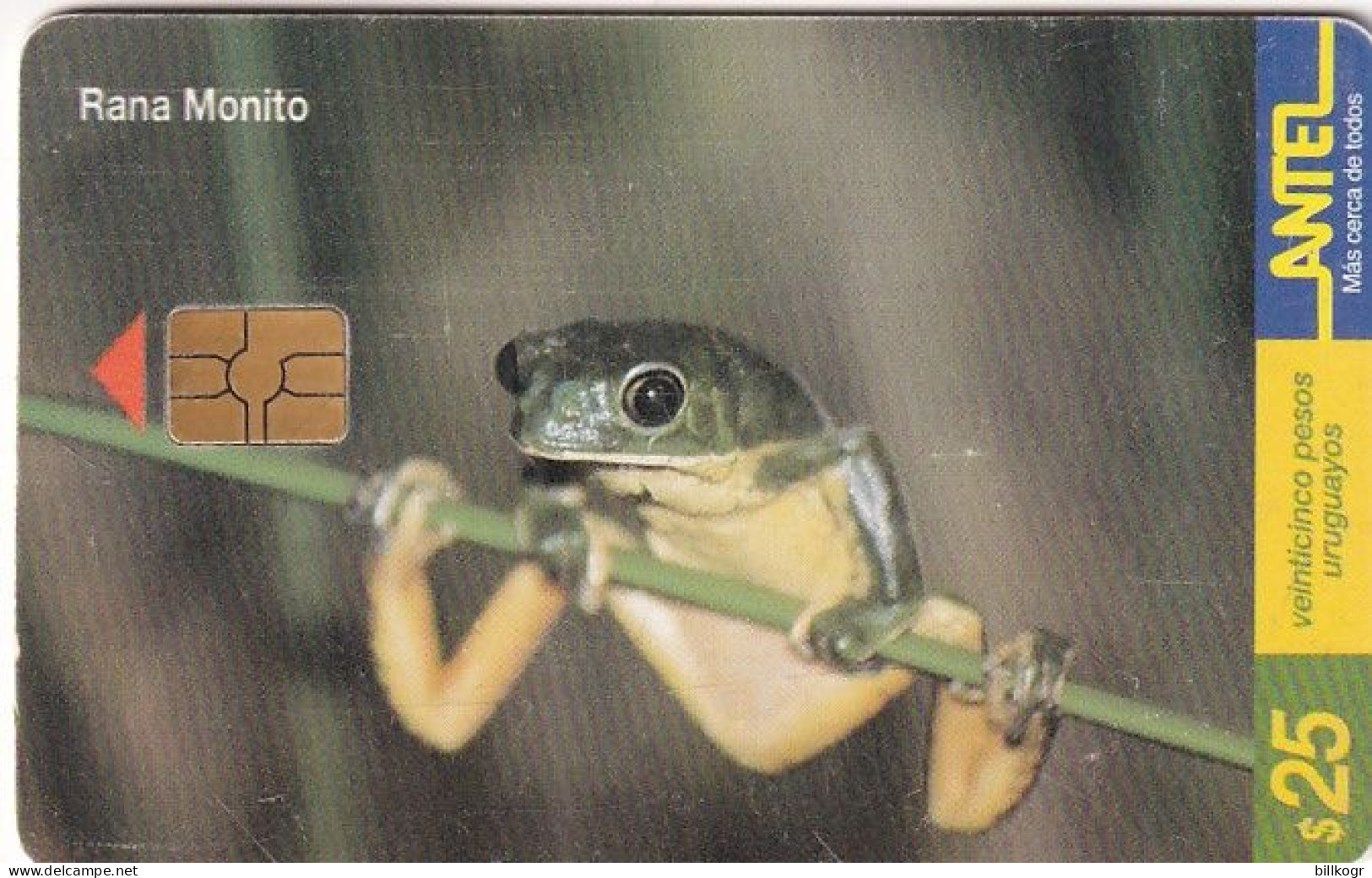 URUGUAY - Frog, Rana Monito(96a), 02/00, Used - Andere & Zonder Classificatie