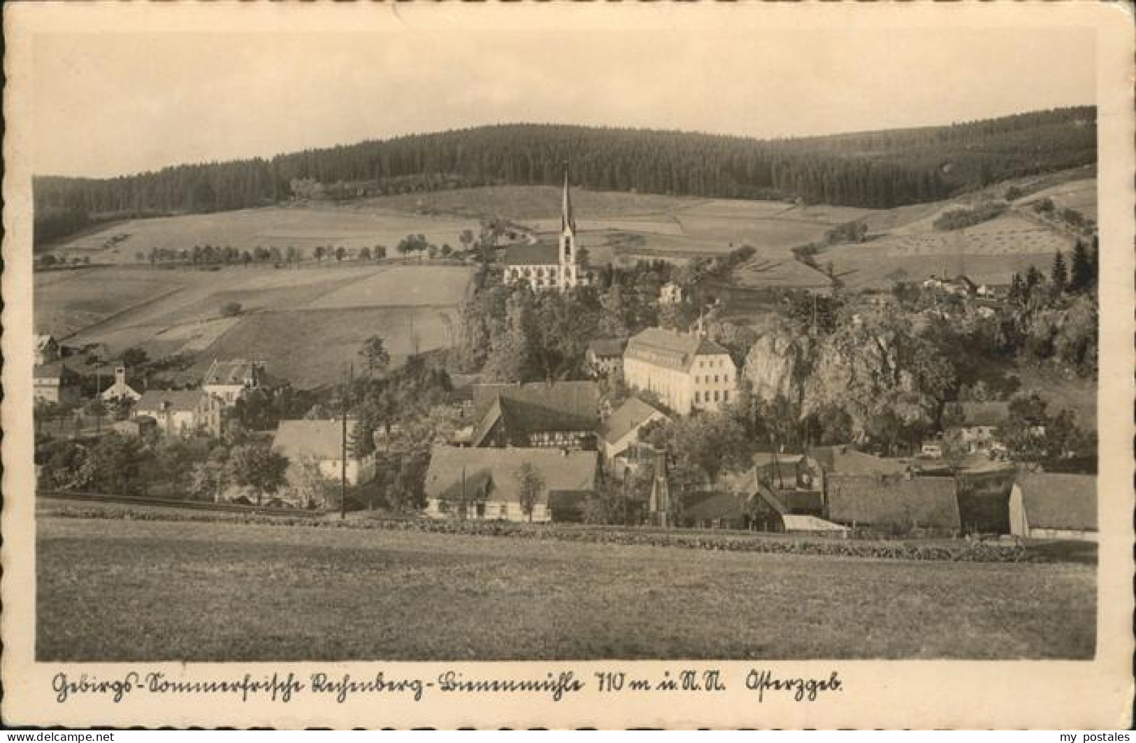 41312226 Rechenberg-Bienenmuehle Osterzgebirge Gebirgs Sommerfrische Im Osterzge - Rechenberg-Bienenmühle