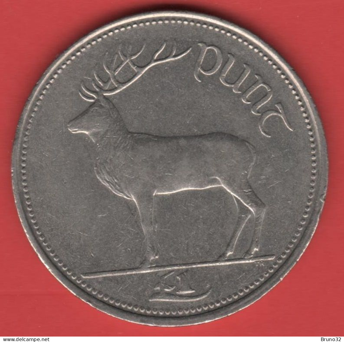 IRLANDA - IRELAND - EIRE - 1996 - 1 Pound - SPL/XF - Come Da Foto - Ireland