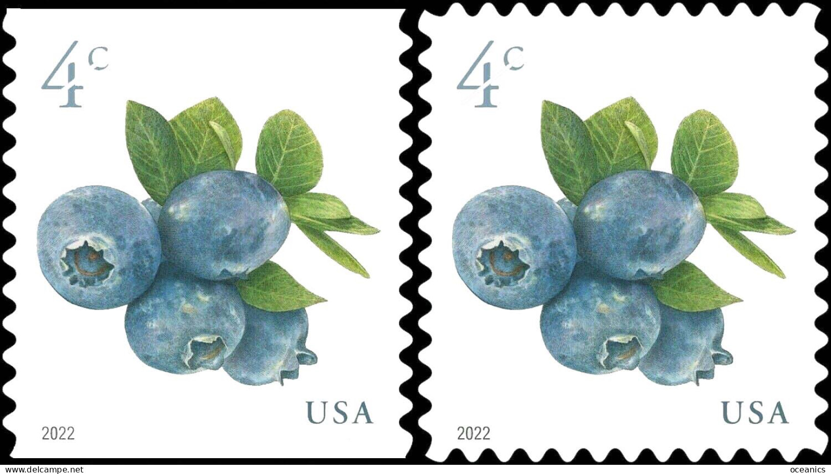 Etats-Unis / United States (Scott No.5651a - Blueberries) [**] Reg & Coil - Unused Stamps