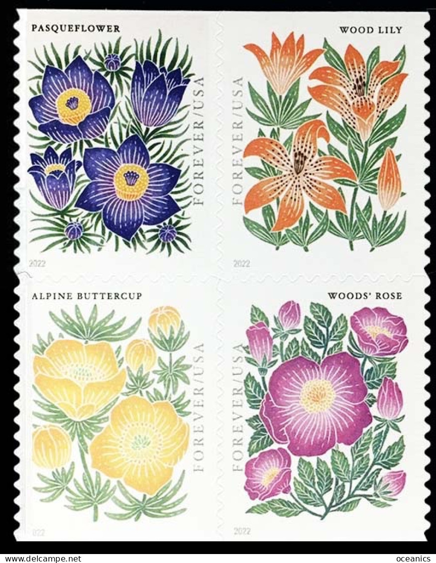 Etats-Unis / United States (Scott No.5679a - Mountain Flora) [**] MHN Center Bloc Of 4 - Ongebruikt