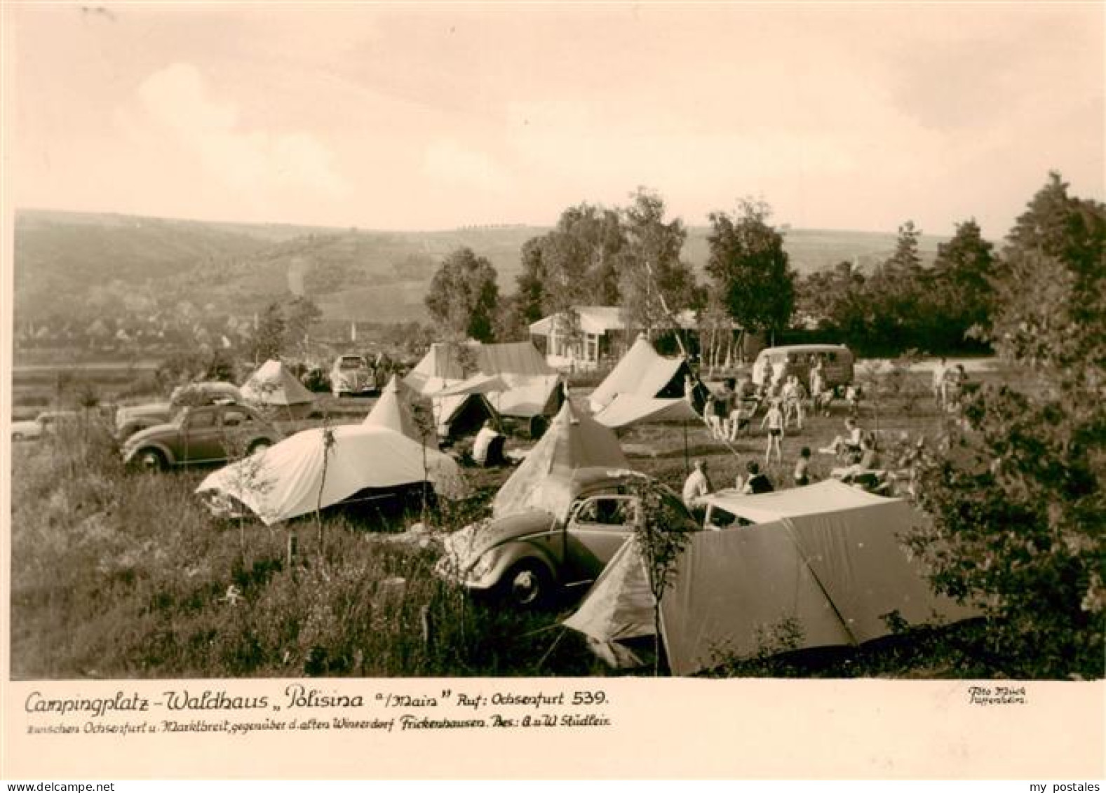 73873205 Ochsenfurt Campingplatz Waldhaus Polisina Ochsenfurt - Ochsenfurt