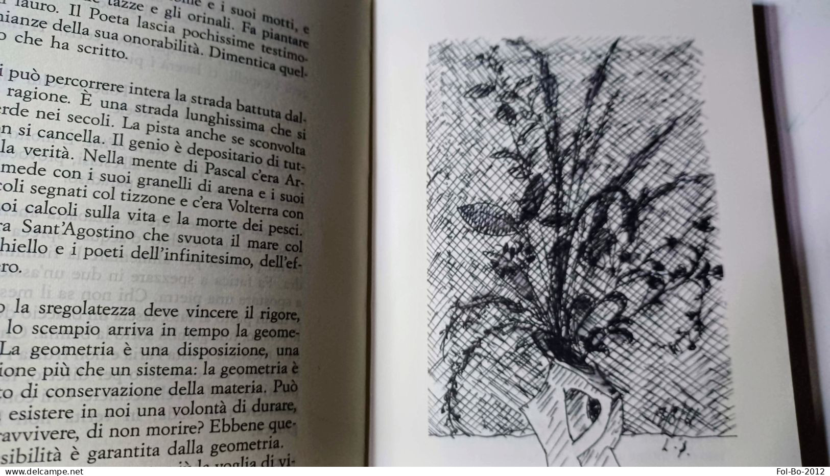 Leonardo Sinisgalli Carta Lacera Edizione Della Cometa Roma MCMXCI Del 1991 Copia N 87 - Storia, Biografie, Filosofia