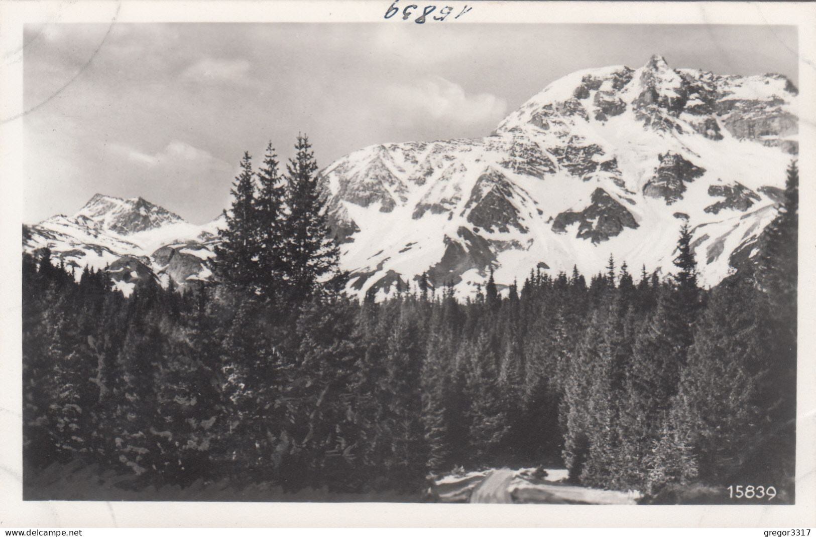 E3216) Sonnblickgruppe Vom Wege RAURIS - KOLM SAIGURN - Raurisertal Salzburg - Alte S/W FOTO AK - Rauris