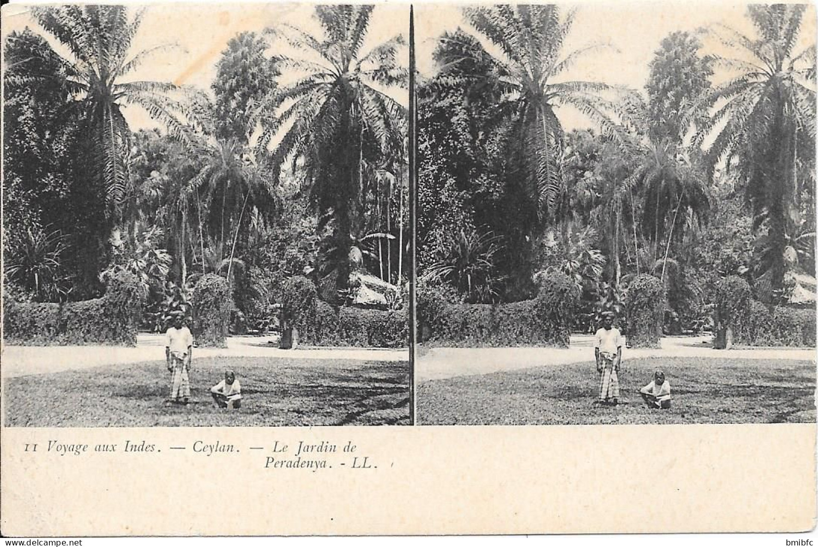 Voyage Aux Indes - Ceylan - - Le Jardin De Peradenya - Cartoline Stereoscopiche
