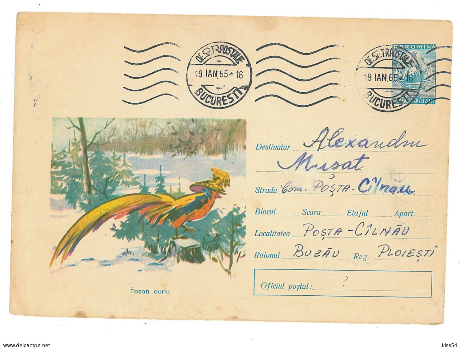 IP 64 A - 043b Bird, PHEASANT, Romania - Stationery - Used - 1964 - Gallináceos & Faisanes