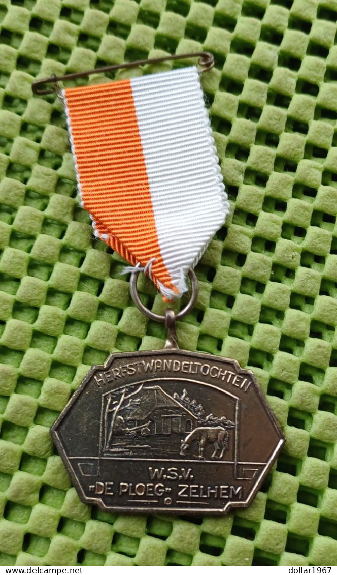 Medaille -    Herfstwandeltochten W.S.V. "De Ploeg " Zelhem .-  Original Foto  !! - Sonstige & Ohne Zuordnung